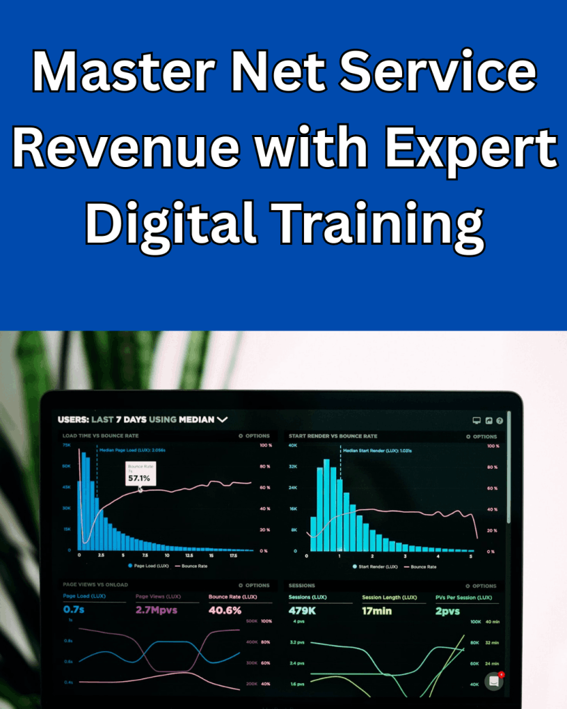 Net-service-revenue-system-image